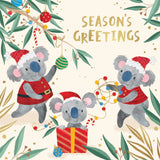 Ovarian Cancer Research Foundation Koala Frolics Charity Boxed Christmas Cards