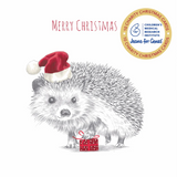 Jeans for Genes Hedgehog Present Charity Boxed Christmas Cards
