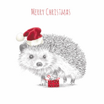 Jeans for Genes Hedgehog Present Charity Boxed Christmas Cards