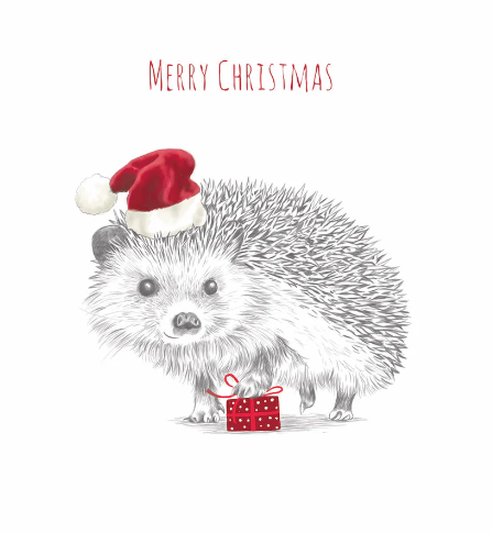 Jeans for Genes Hedgehog Present Charity Boxed Christmas Cards