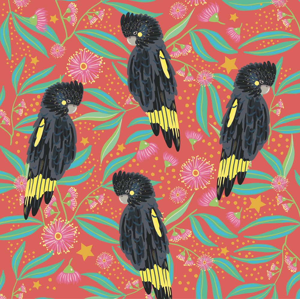 Breast Cancer Network Australia Black Cockatoos Charity Boxed Christmas Cards