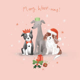 Breast Cancer Network Australia Dog Presents Charity Boxed Christmas Cards