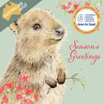 Jeans for Genes Quokka Greetings Charity Boxed Christmas Cards