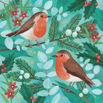 Jeans for Genes Robins Charity Boxed Christmas Cards
