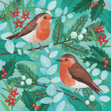 Jeans for Genes Robins Charity Boxed Christmas Cards