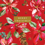 McGrath Foundation Poinsettia Charity Boxed Christmas Cards