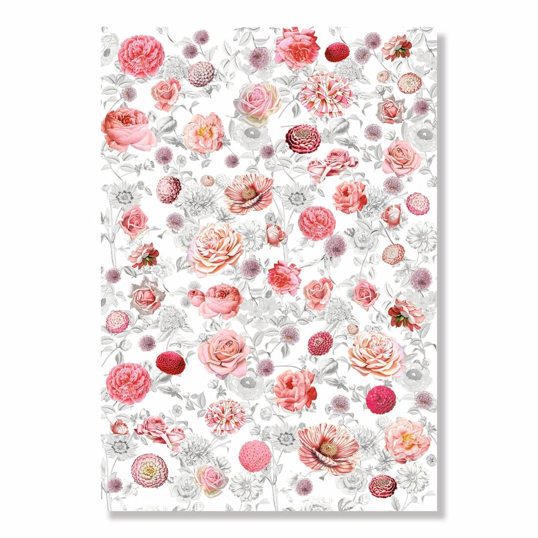 Barbara Behr Birds and Flowers Wrapping Paper Book