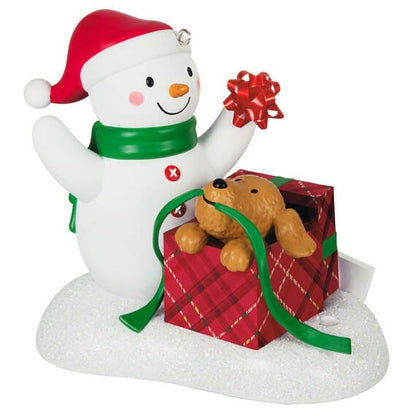 Wrapped Up In Christmas 2024 Musical Hallmark Keepsake Ornament