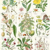 Woodland Floral Wrapping Paper Book
