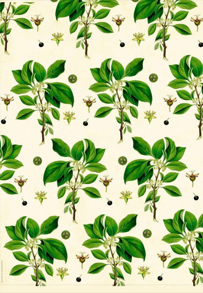 Woodland Floral Wrapping Paper Book