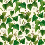 Woodland Floral Wrapping Paper Book