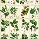 Woodland Floral Wrapping Paper Book