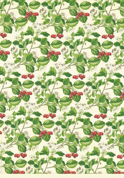 Woodland Floral Wrapping Paper Book