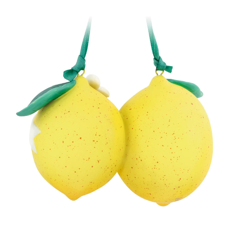 Live Life With Zest Hallmark Keepsake Ornament