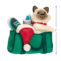 Mischievous Kittens Hallmark Keepsake Ornament