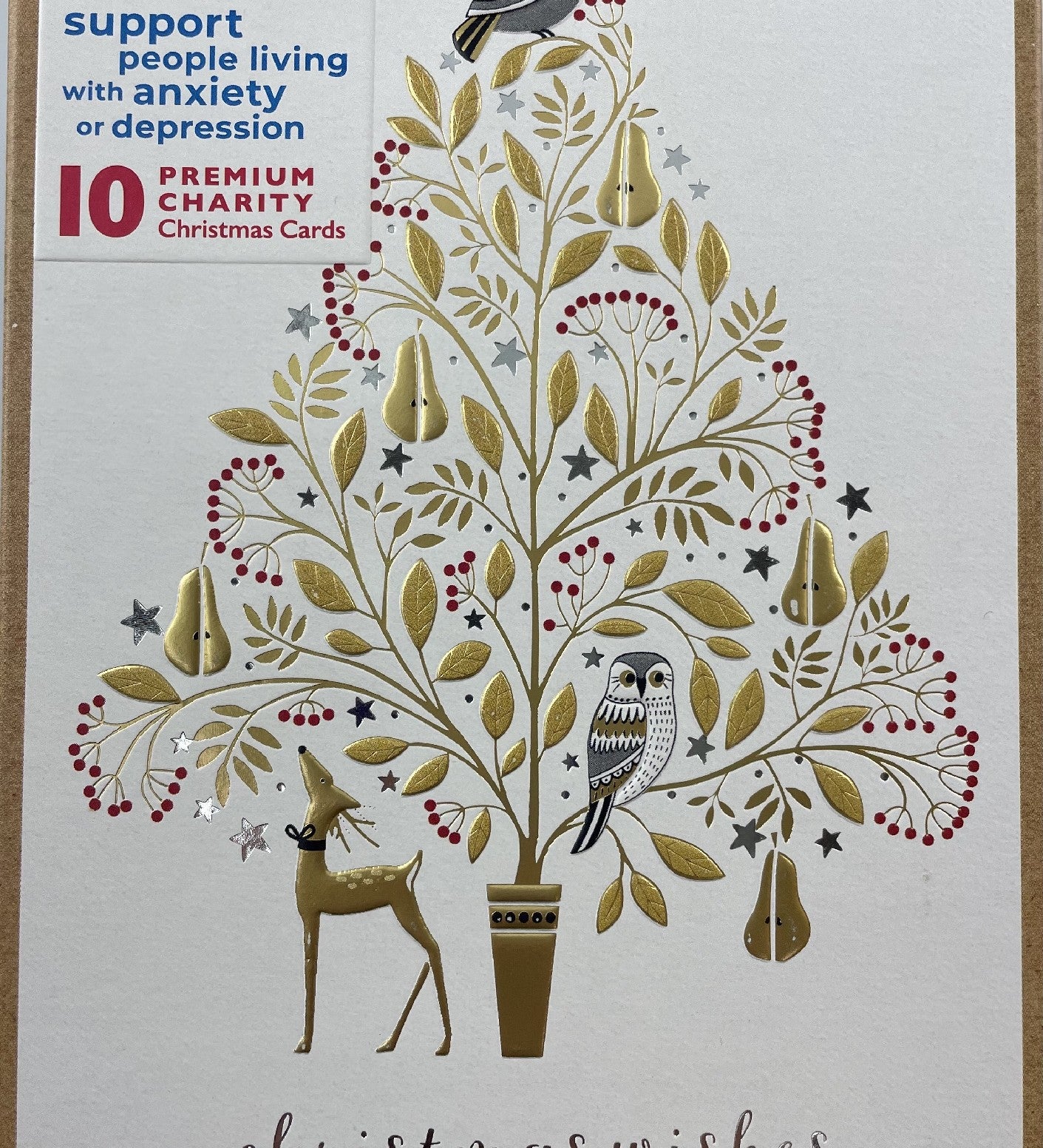 Beyond Blue Pear Tree Charity Boxed Christmas Cards