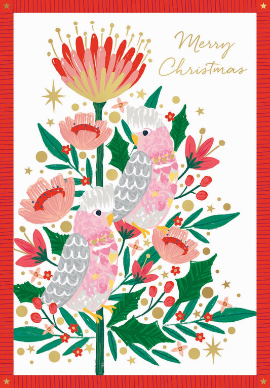 Breast Cancer Foundation Galah Greetings Charity Boxed Christmas Cards