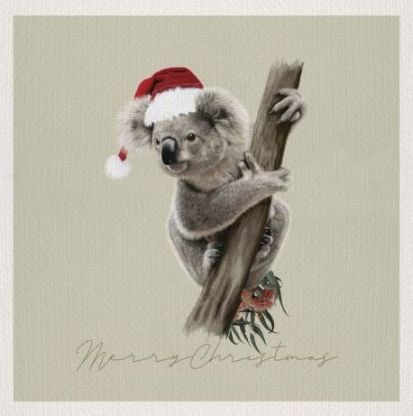 Starlight Children's Foundation Australian Koala Charity Boxed Christmas Cards