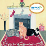 RSPCA Cats Stocking Charity Boxed Christmas Cards