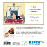 RSPCA Cats Stocking Charity Boxed Christmas Cards
