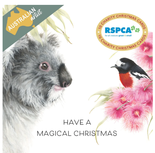 RSPCA Magical Christmas Charity Boxed Christmas Cards