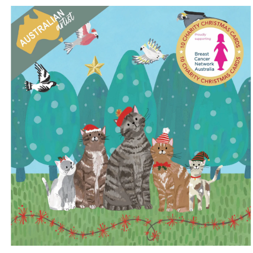 Breast Cancer Network Australia Santa Cats Charity Boxed Christmas Cards