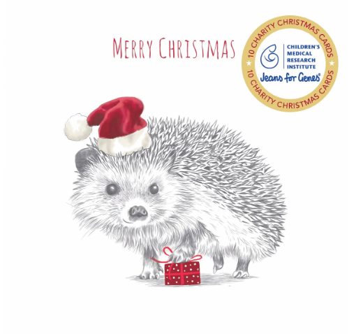 Jeans for Genes Hedgehog Present Charity Boxed Christmas Cards