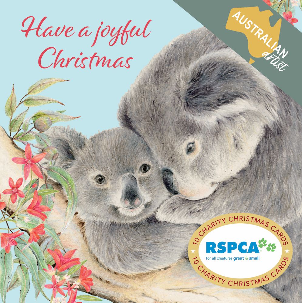 RSPCA Joyful Koala Charity Boxed Christmas Cards
