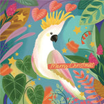 RSPCA Cockatoo Charity Boxed Christmas Cards