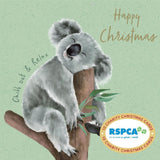 RSPCA Happy Koala Charity Boxed Christmas Cards