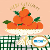 RSPCA Bowl of Delights Charity Boxed Christmas Cards