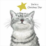 RSPCA Christmas Star Charity Boxed Christmas Cards