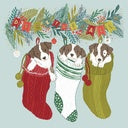 Children's Medical Research Institute Cheeky Puppies Charity Boxed Christmas Cards