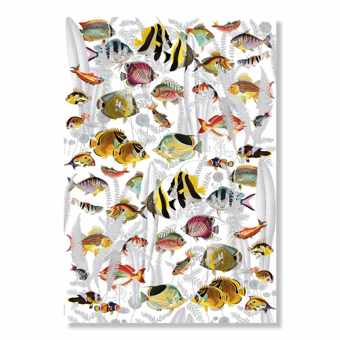 Barbara Behr Birds and Flowers Wrapping Paper Book