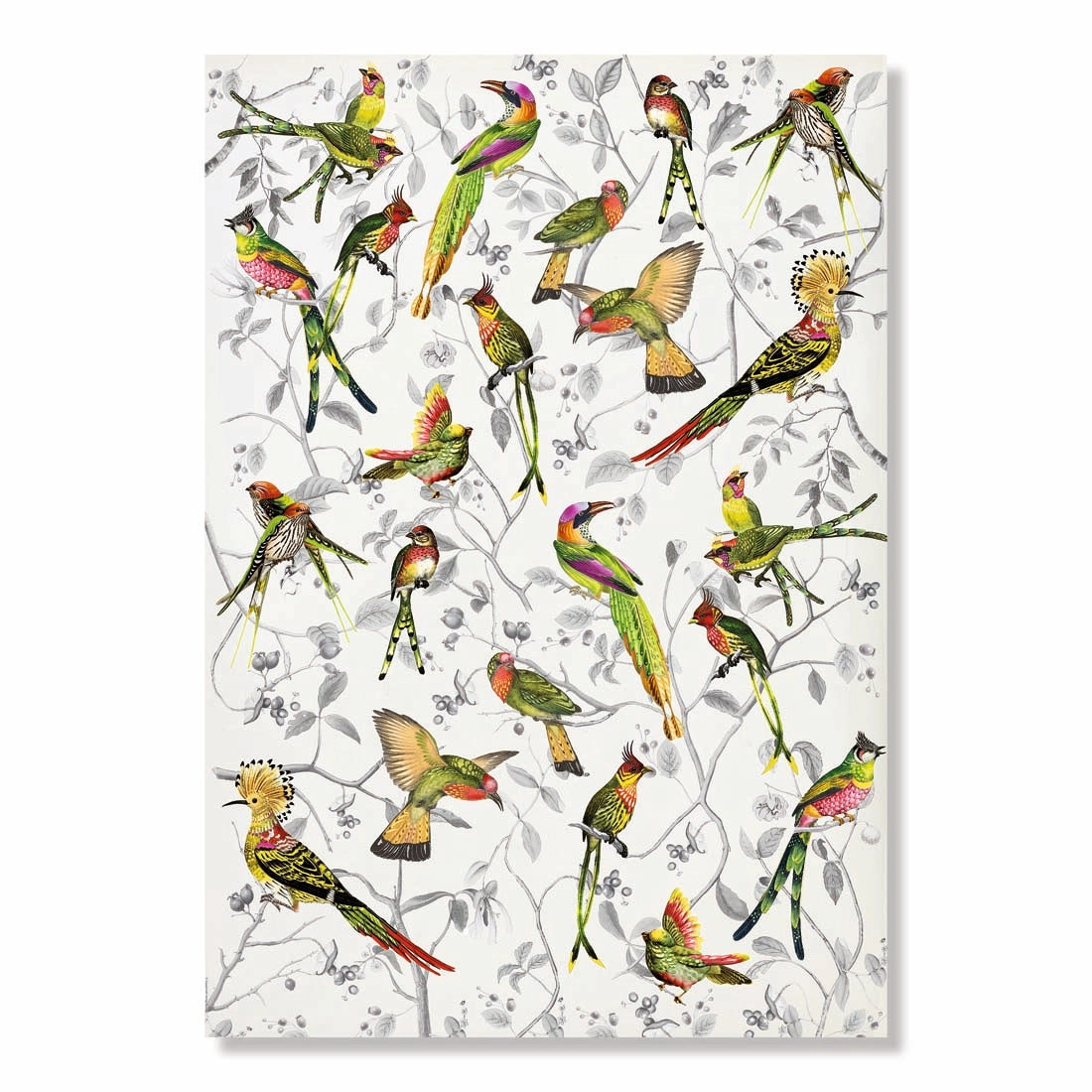 Barbara Behr Birds and Flowers Wrapping Paper Book