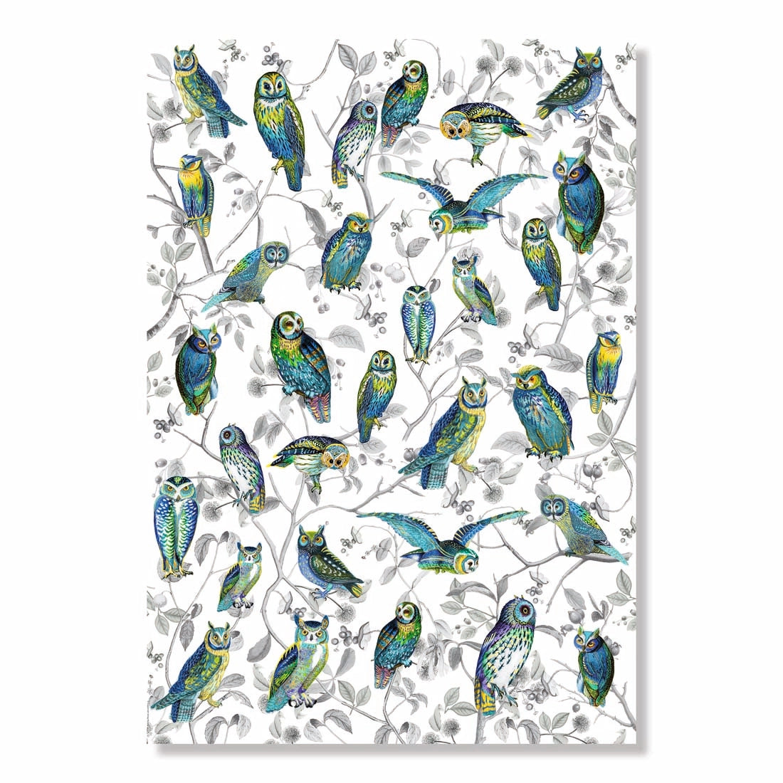 Barbara Behr Birds and Flowers Wrapping Paper Book