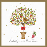 Starlight Children's Foundation Partridge Pear Tree Charity Boxed Christmas Cards