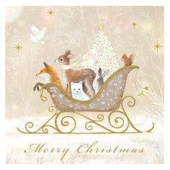 Peter Mac Foundation Animal Sleigh Charity Boxed Christmas Cards