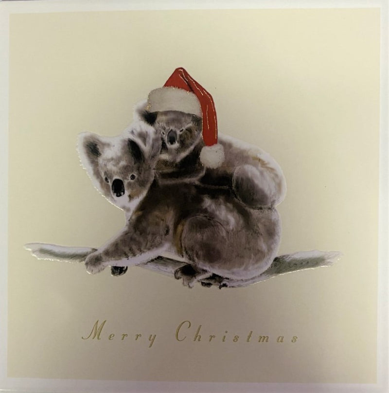 Peter Mac Foundation Luxury Australian Koala Charity Boxed Christmas Cards